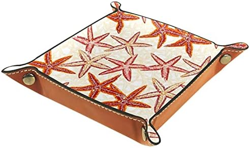 Bešavne morske zvijezde za krevet ili ulazno mjesto komunalnih ukrasnih ladica