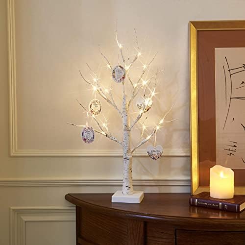 Eambrite 2FT 24LT White Brech Twig Tree Svjetla za poklon kartice Mother's Day Drveni dekoracija Topla bijela lampica LED i set od