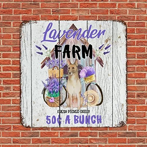 Smiješni kućni ljubimac Metal Tin znak Lavender Farm Fresh Odabrani dnevnik Vintage Dog Dobrodošli Zidni Zidni Zidni Zidni potporni