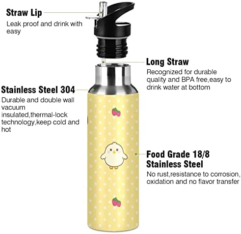 Emelivor Chick jagoda voda boca sa vakuum izolirana nehrđajući čelik boca sa slamkom 20oz vodostaj za vodu za teretanu planinarenje