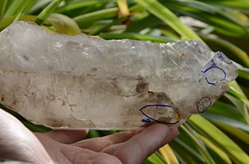 Real Tibet Himalayan Visoka nadmorska visina Clear Crystal Quartz Gem 6,49 inča sa 8 premještajućih mjehurića Enhydro Duhoual Reiki