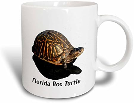 3drose Susans Zoo Crew životinje Turtle-Florida Box turtle Photo w Text-Mugs