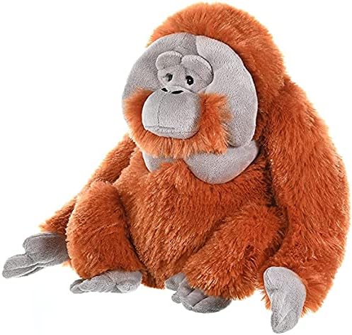 Plišani divlji Republički Orangutan, Plišana životinja, plišana igračka, pokloni za djecu, Cuddlekins 12 inča