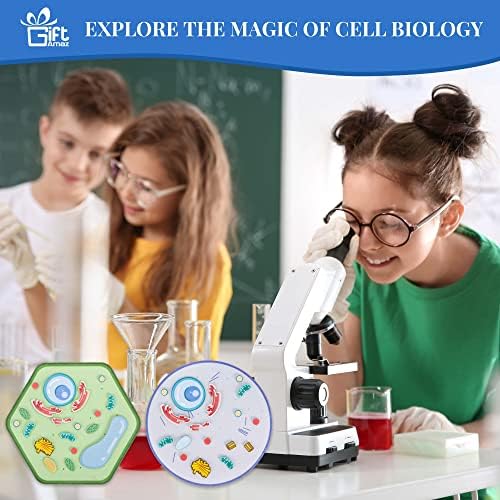 GiftAmaz model anatomije životinjskih i biljnih ćelija, igračka od mekog filca, STEM igračke za ranu ćelijsku biologiju i nauku o životu, pomoć u nastavi u učionici, obrazovne aktivnosti učenja STEM Igračke Poklon za djecu od 6+